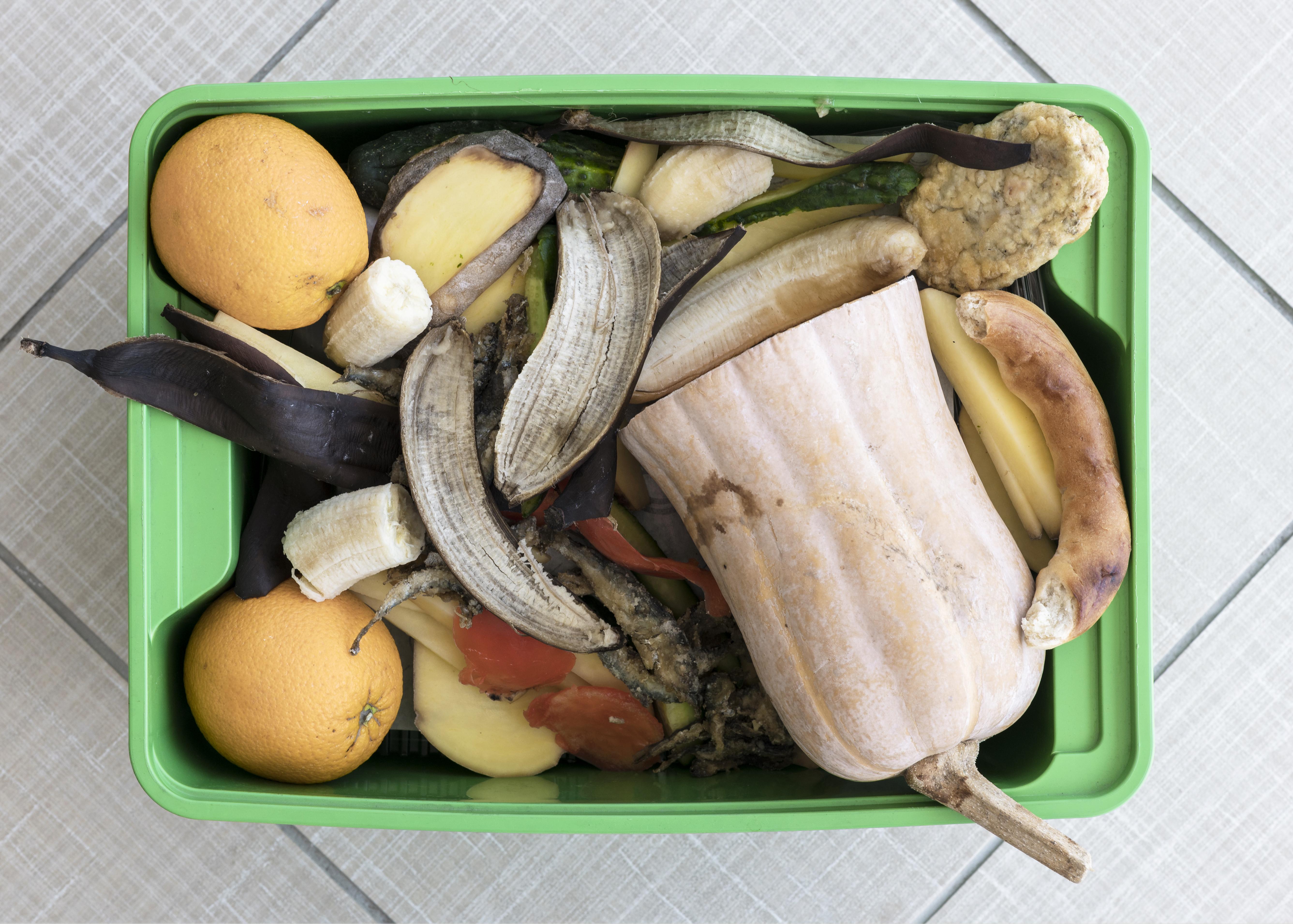 Food Waste Data Tracking's image